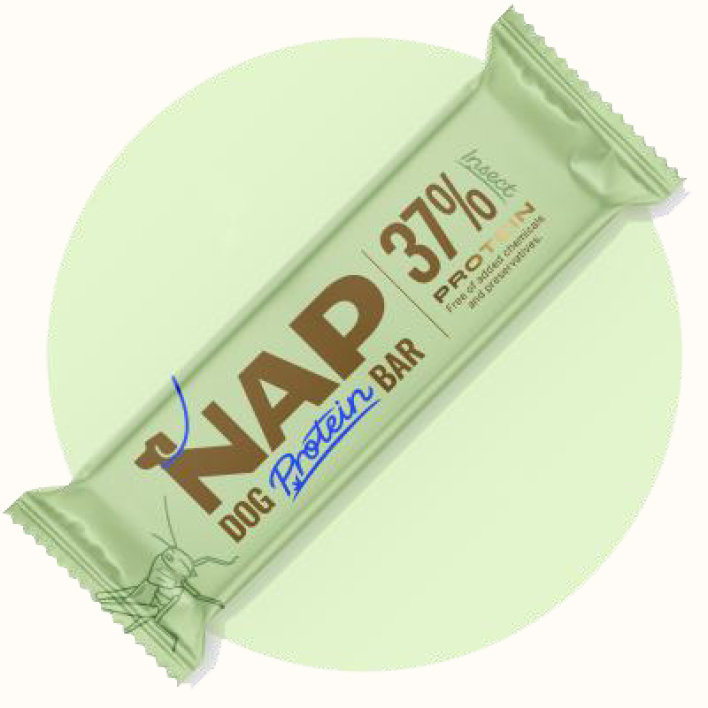 NAP insecto